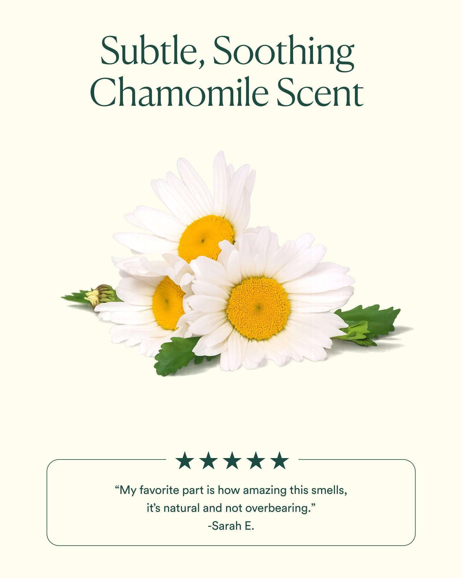 8-DGFO_PDP_SCENT_1600x2000_8f9e0a37-c4cc-45a9-8865-54df817e7073.jpg